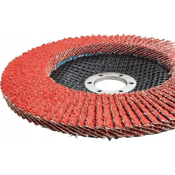 Rockforce Tarcza szlifierska listkowa lamelkowa 150x22.2mm P36