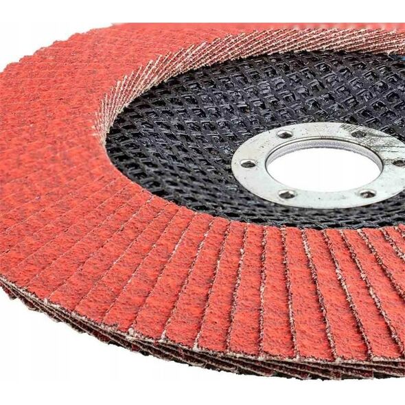 Rockforce Tarcza szlifierska listkowa lamelkowa 150x22.2mm P80