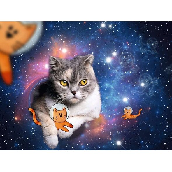 Brio Ravensburger - Cats In Space 1500p - (10217439) /Puzzles /Multi