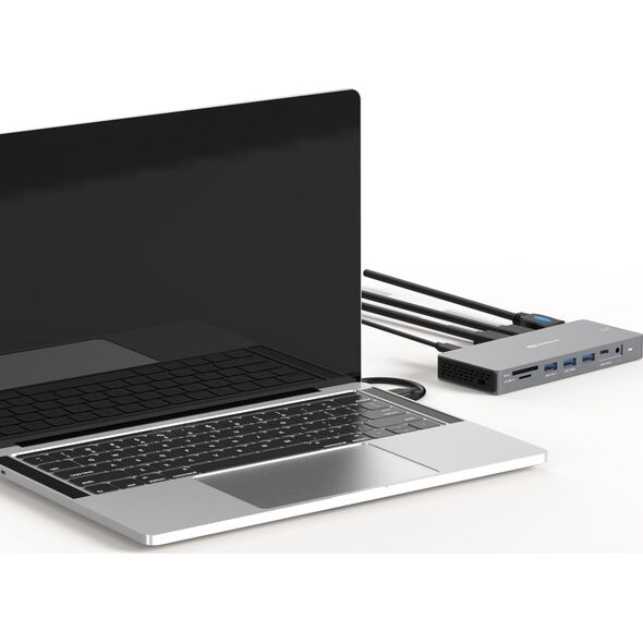 USB-C 13in1 DockingStation Pro