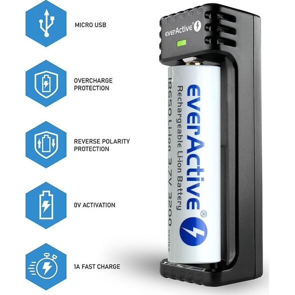 Ładowarka EverActive LC-100 (LC100)