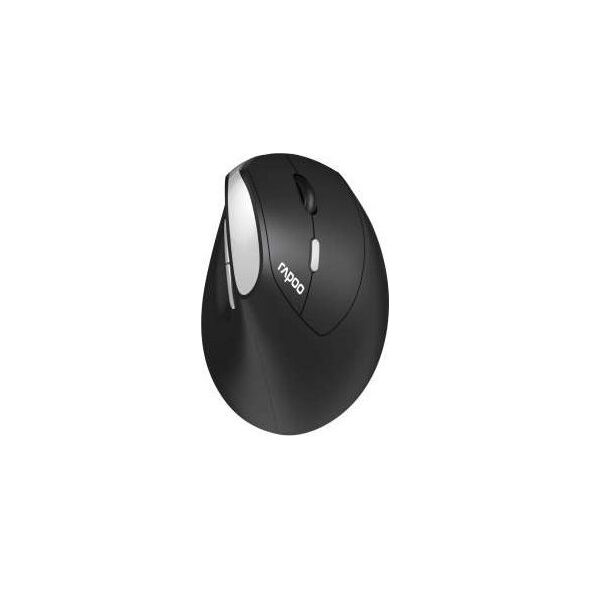 Mysz Rapoo RAPOO MYSZ ERGONOMICZNA BEZPRZEWODOWA EV250