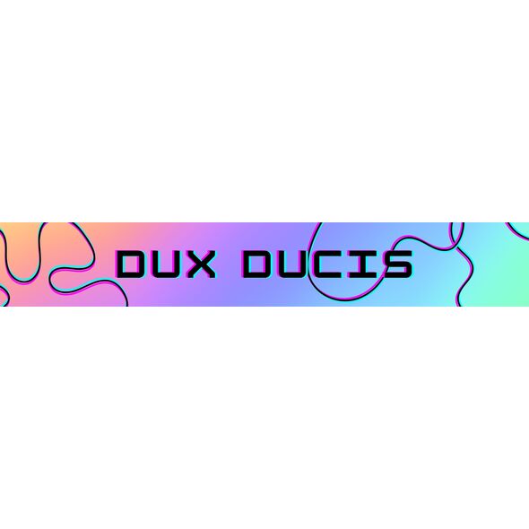 Etui Dux Ducis Skin X Pro na iPhone 16 Pro z MagSafe i klapką - czarne