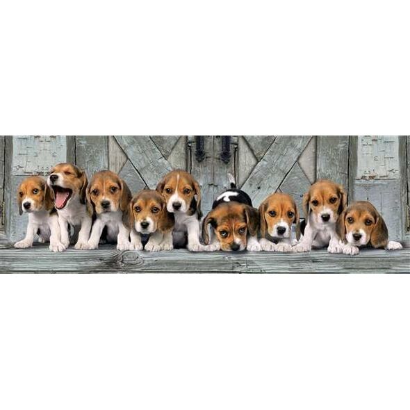 Clementoni Puzzle 1000el Panorama Beagles
