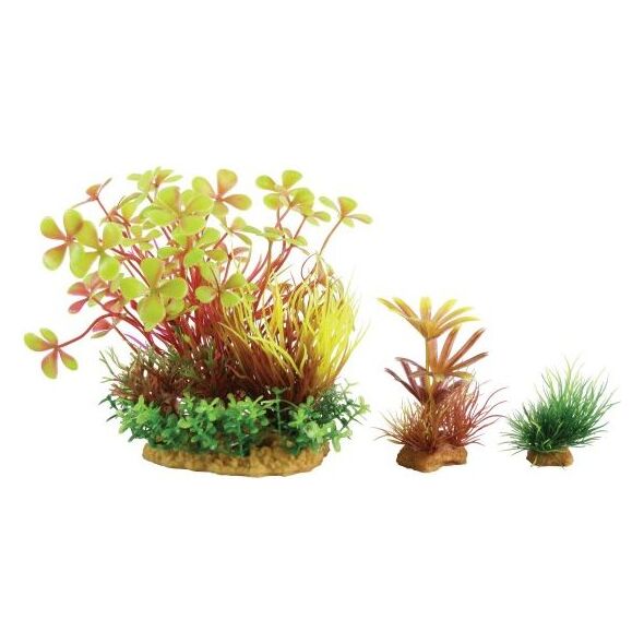 Zolux Dekoracja roślinna PlantKit Wiha model 4 (352143)