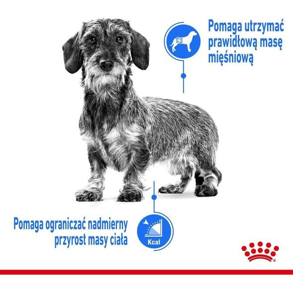 Royal Canin ROYAL CANIN CCN Light Weight Care 12x85g karma mokra - pasztet dla psów dorosłych z tendencją do nadwagi