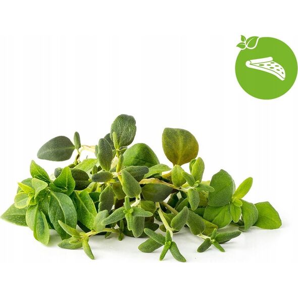 Click And Grow Click&Grow Nasiona Smart Soil mix ziół włoskich9pak