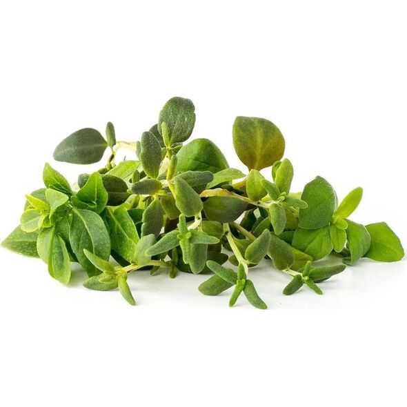 Click And Grow Click&Grow Nasiona Smart Soil mix ziół włoskich9pak