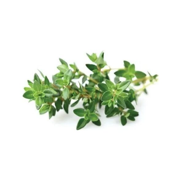 Click And Grow Click&Grow Nasiona Smart Soil mix ziół włoskich9pak