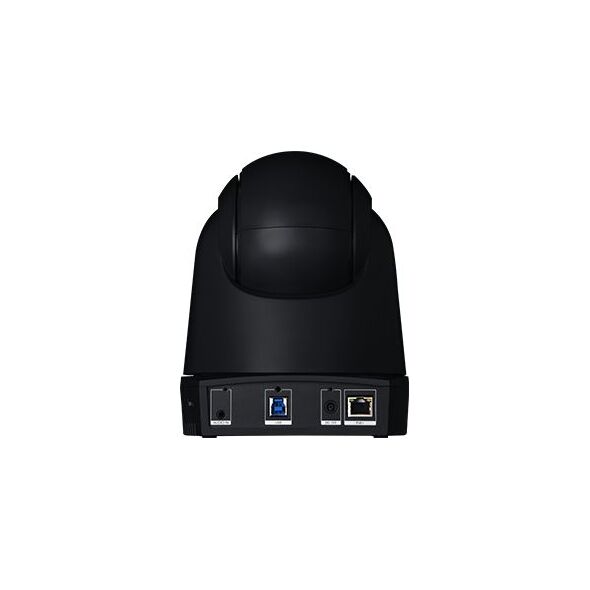 Kamera internetowa AVer DL30