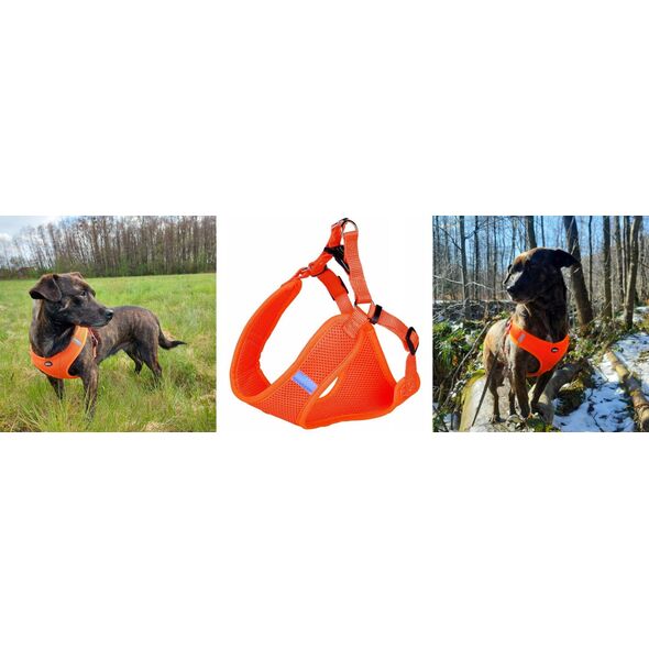 Nobby NOBBY MESH REFLECT SZELKI XXS CZARNE 28-33cm
