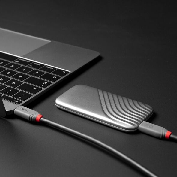 Kabel USB Lindy USB-C - USB-C 0.8 m Czarny (36956)