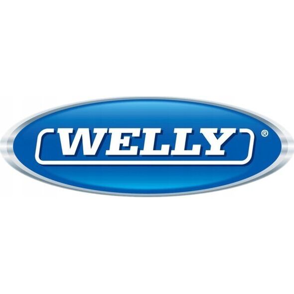 Welly WELLY 1:24 Polonez FSO 24124 41247