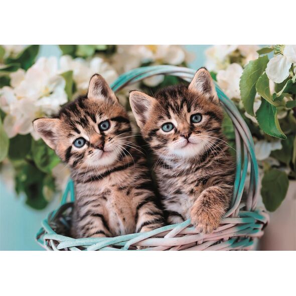 Clementoni CLE puzzle 60 SuperKolor Lovely KittyTwins 26599