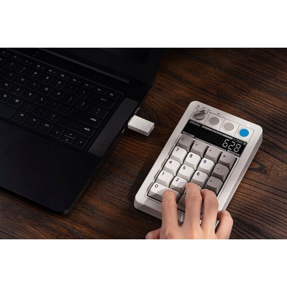 8Bitdo Pro2 Gamepad G Edycja Klasyczna