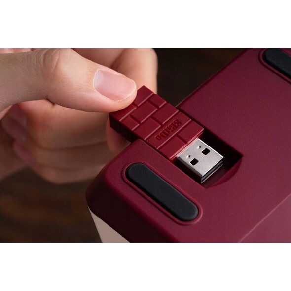 8Bitdo Pro2 Gamepad G Edycja Klasyczna