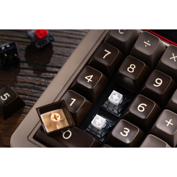 8Bitdo Pro2 Gamepad G Edycja Klasyczna