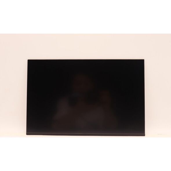 Lenovo DISPLAY INX 14.0 WUXGA AG LCLW