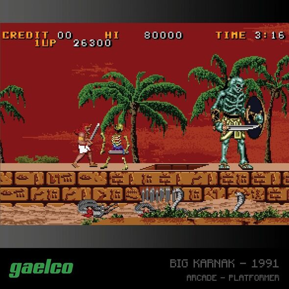 EVERCADE A6 - Zestaw gier Gaelco (Piko) Arcade 2