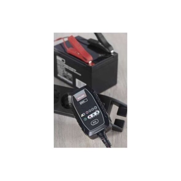 Car battery charger 6/12V 0.8A 1.2-30Ah