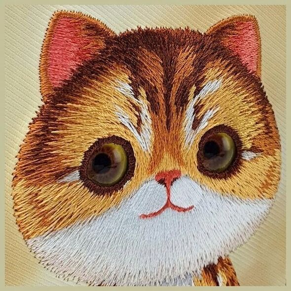 Nimmy iPhone 15 Pro 6.1" case khaki Big Eyed Pet 2.0 Cat