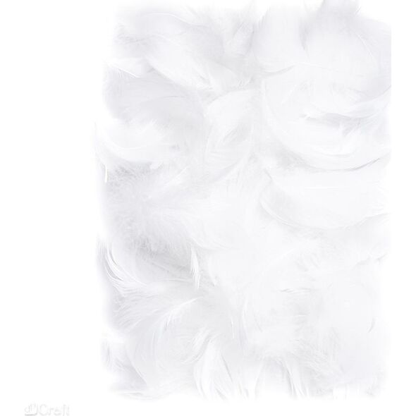 Dalprint Piórka DPCRAFT 5-12cm 10g White Dalprint