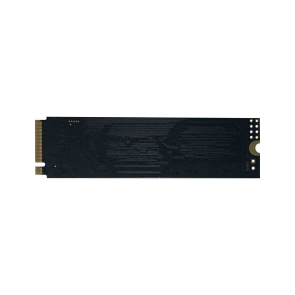 Dysk SSD Innovation IT Performance 256GB M.2 2280 PCI-E x4 Gen3 NVMe (00-256111)