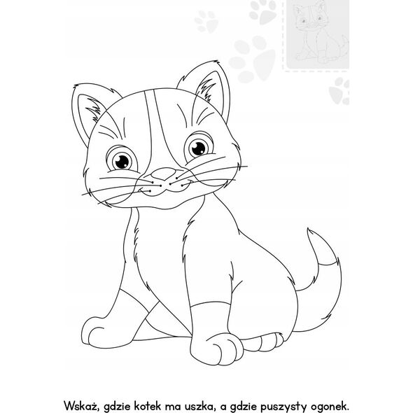 Skrzat Brzdące kolorują Kotki nakl.św.w ciemn.78305 