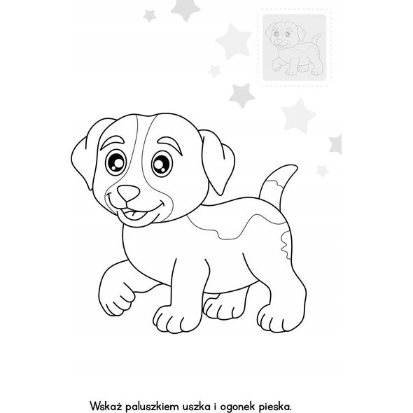 Skrzat Brzdące kolorują Zwierzaki nakl.św.w ciemn.78336 