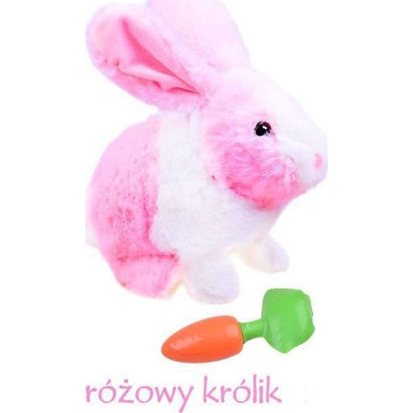 Jokomisiada  (ZA2685)