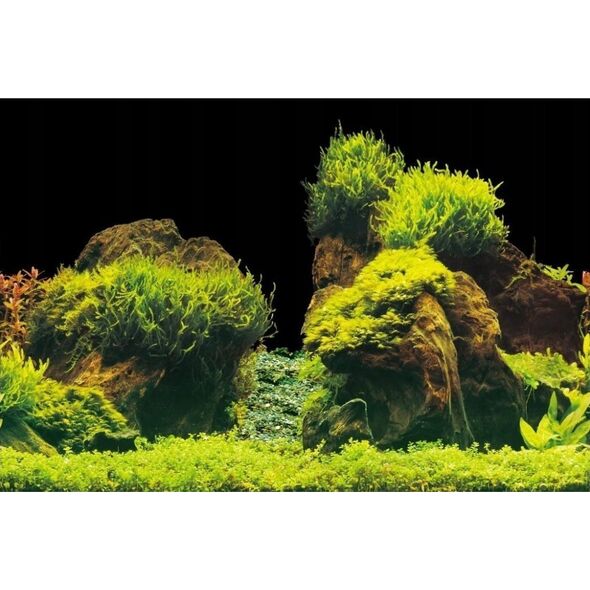 Aqua Nova AQUA NOVA BACKGROUND L 100/50 ROCK/PLANTS 7914532 5903031442779