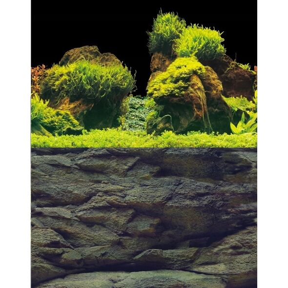 Aqua Nova AQUA NOVA BACKGROUND L 100/50 ROCK/PLANTS 7914532 5903031442779