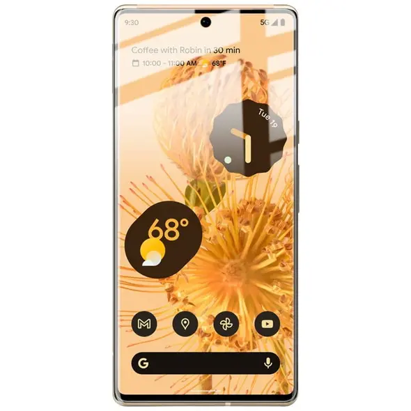 Bizon Glass Hydrogel Google Pixel 6 Pro [2 PACK]