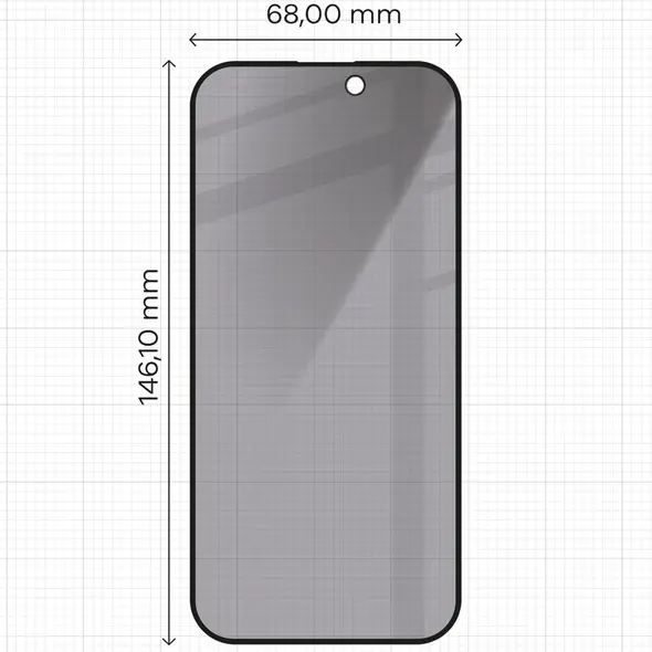 Bizon Glass Edge Shadow Apple iPhone 16 Pro tinted with a black frame