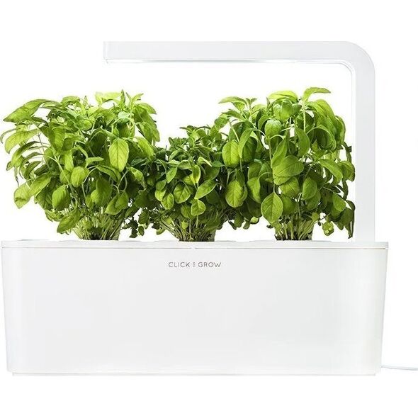 Click And Grow Κάντε κλικ και μεγεθύνετε ξαναγεμίστε νάνος βασιλικός 3-συσκευασία 7412091 4742793007380