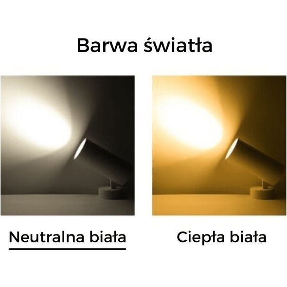 Lampa sufitowa Blaupunkt Reflektor BLAUPUNKT DRNW-12NW 12W
