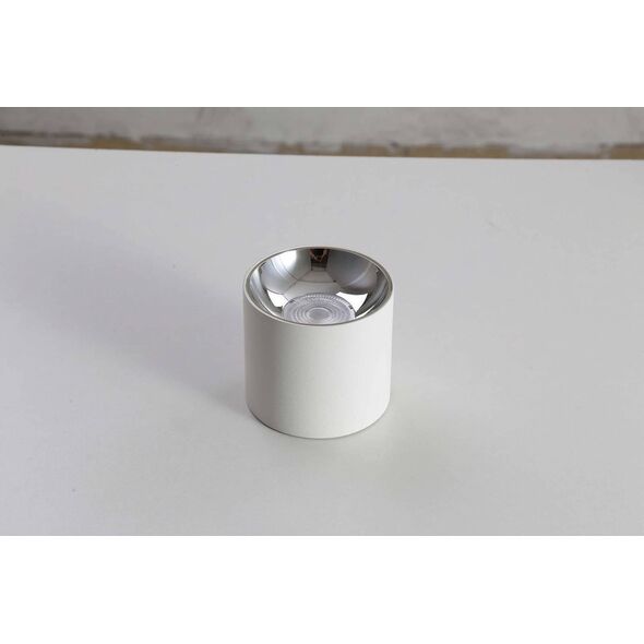 Lampa sufitowa Blaupunkt LAMPA sufitowa ROLLER DLW10 Blaupunkt metalowa OPRAWA downlight LED 10W 4000K tuba biała