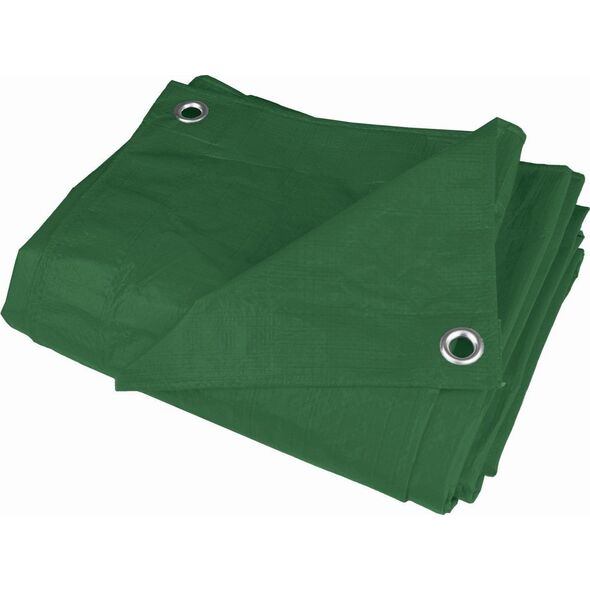 Plandeka Dedra 300 cm  x 200 cm 80 g/m2