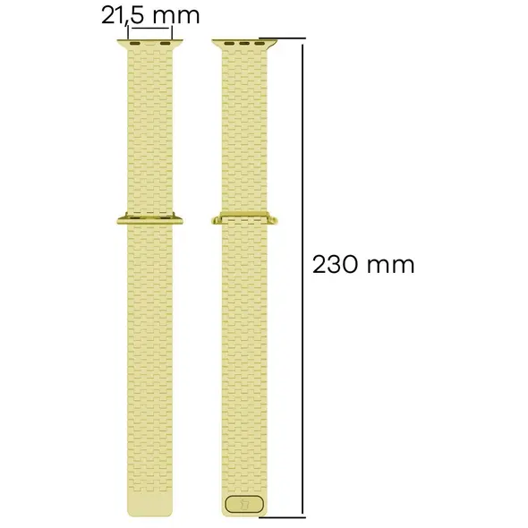 Bizon Strap Watch Titanium Apple Watch 38/40/41/42 mm gold