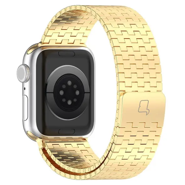 Bizon Strap Watch Titanium Apple Watch 38/40/41/42 mm gold