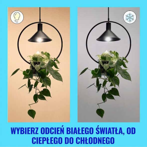 Signify WiZ White 60W E27 A60 Standard Filament clear Tunable Einzelp.
