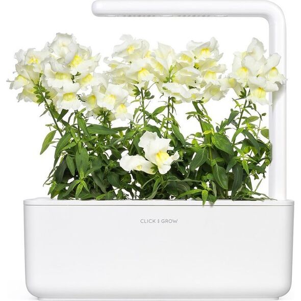 Click And Grow Click & Grow Smart Refill White Snapdragon 3 τεμ 13927273 4742793001746