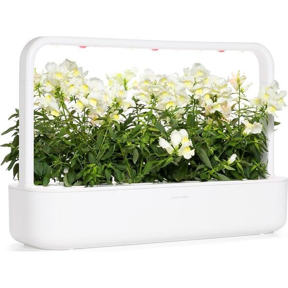 Click And Grow Click & Grow Smart Refill White Snapdragon 3 τεμ 13927273 4742793001746