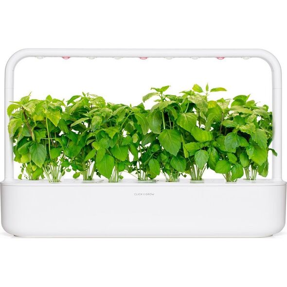 Click And Grow Click & Grow Smart Garden αναπλήρωση Βασιλικός κανέλας 3 τεμ 13927256 4742793001494