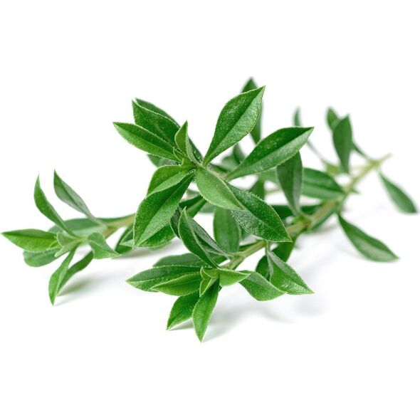 Click And Grow Click & Grow Smart Garden αναπλήρωση Mountain Savory 3 τεμ 13927263 4742793001685