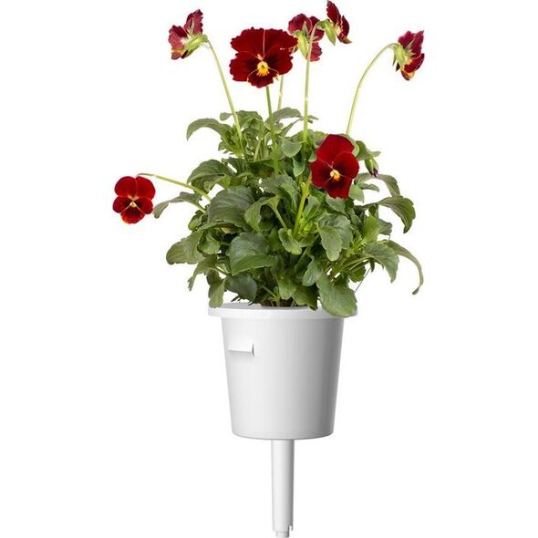 Click And Grow Click & Grow Smart Garden Refill Red Pansy 3 τεμ 13927265 4742793001487