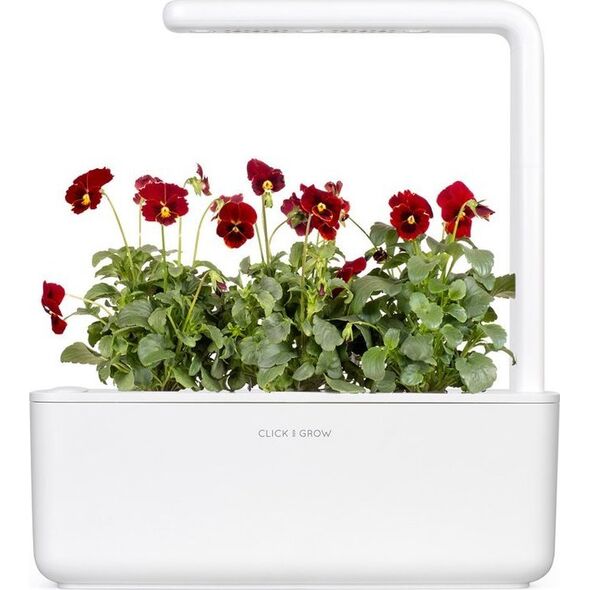 Click And Grow Click & Grow Smart Garden Refill Red Pansy 3 τεμ 13927265 4742793001487