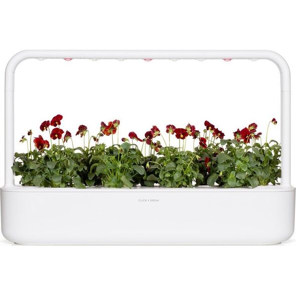 Click And Grow Click & Grow Smart Garden Refill Red Pansy 3 τεμ 13927265 4742793001487