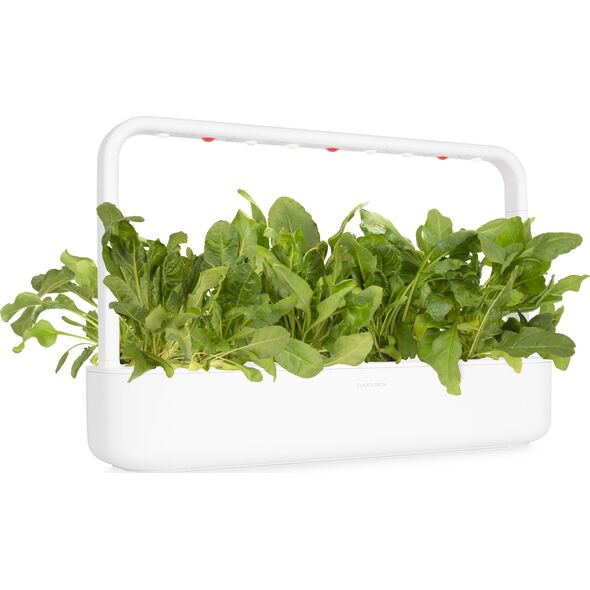 Click And Grow Click & Grow Smart Garden refill Green Chard 3 τεμ 13927310 4742793009339