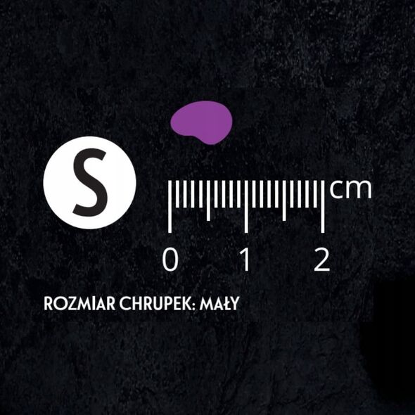 Pan Mięsko Karma sucha dla kota Cielęcina z krewetkami (dorosły) chrupki S 5kg